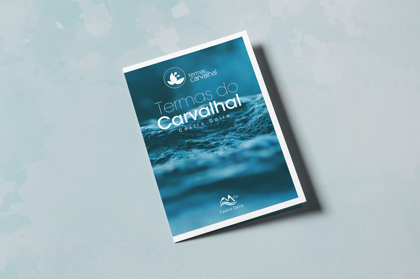 Termas do Carvalhal-Castro Daire