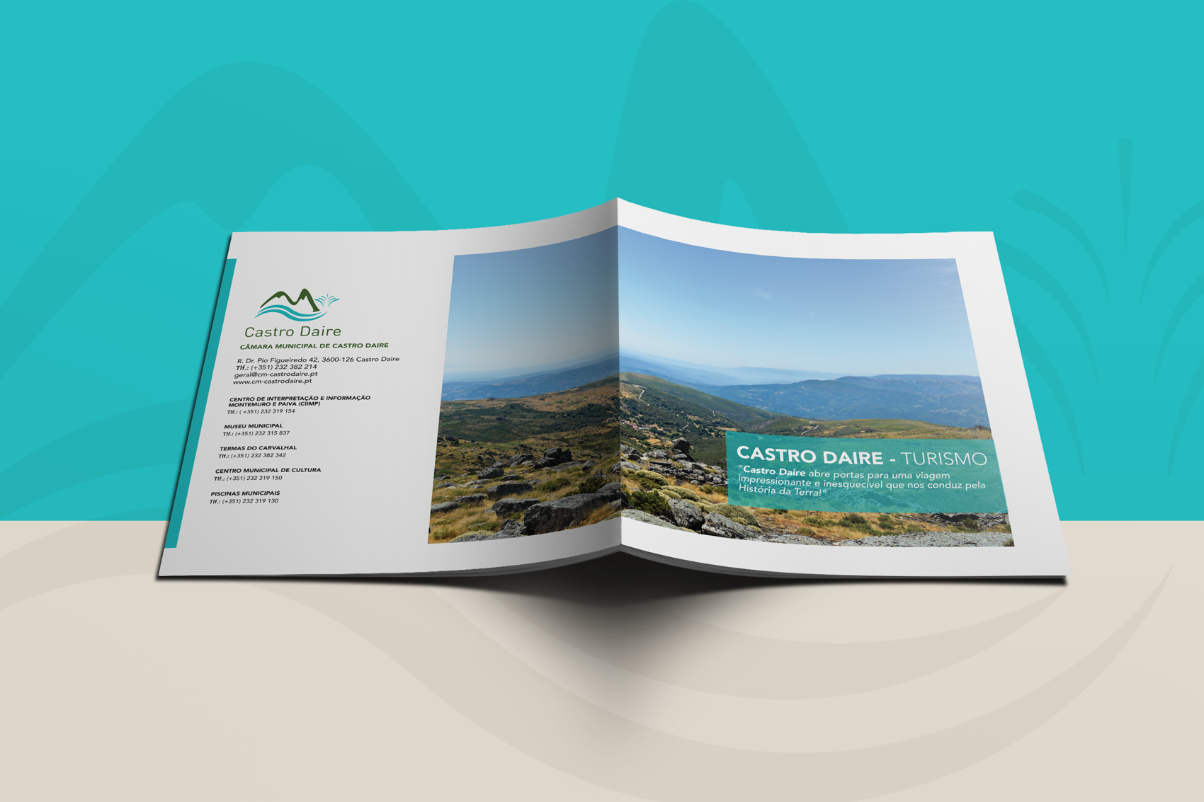 Município de Castro Daire